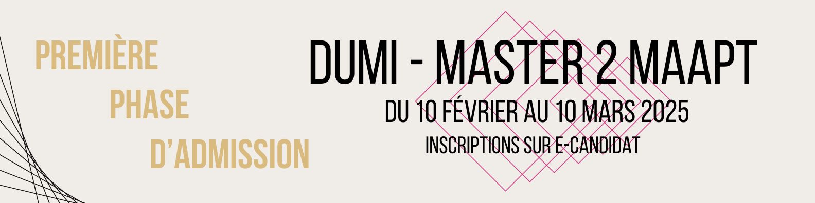 première vague candidatures DUMI et Master 2