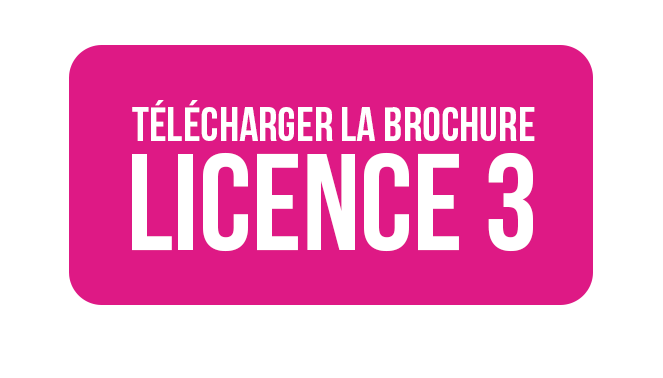 Télécharger la brochure de Licence 3